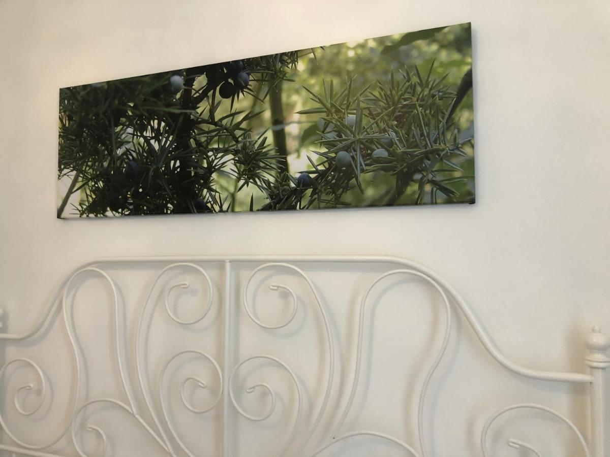 Sa Vivenda Rooms Alghero Luaran gambar